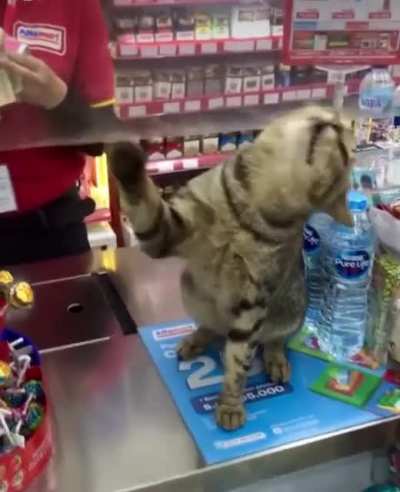 Top Shelf Cashier