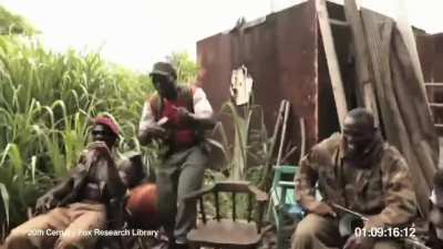 Ape with Ak47