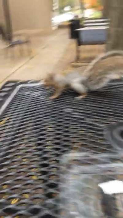 WCGW defending ur food with a spoon instead of closing the lid