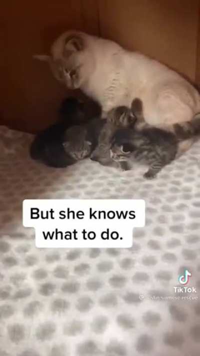 I’ll be your mom now