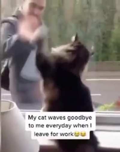bye bye