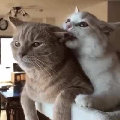 There is always someone who keeps disturbing
