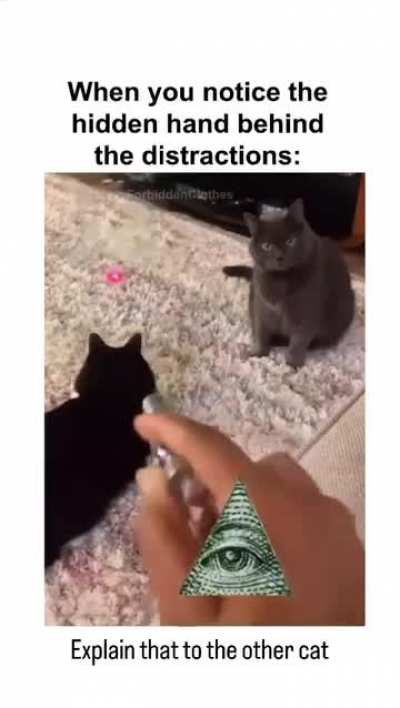 Secrets of the world revealed ?
