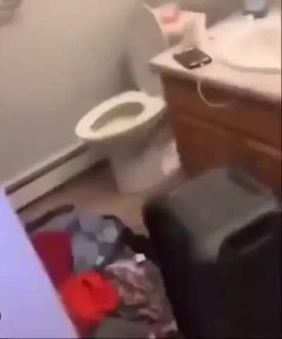 He had to hide the strips