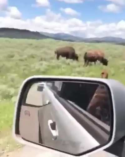 "What.. The.. Fuck is that..."
