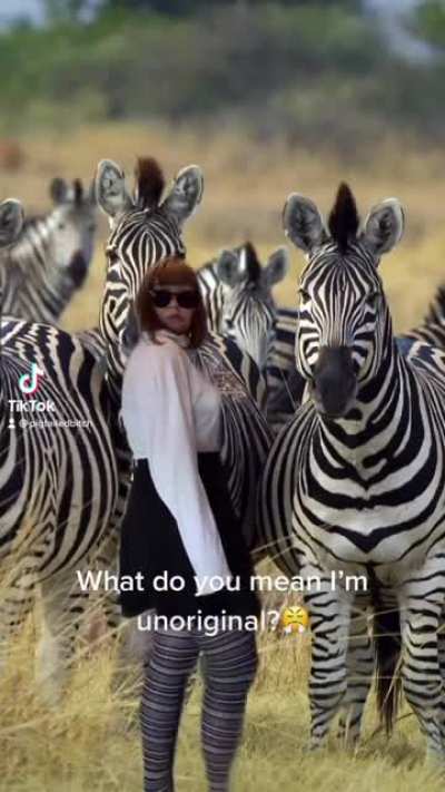 I made my first TikTok after being told I looked like a zebra all day. [OC]