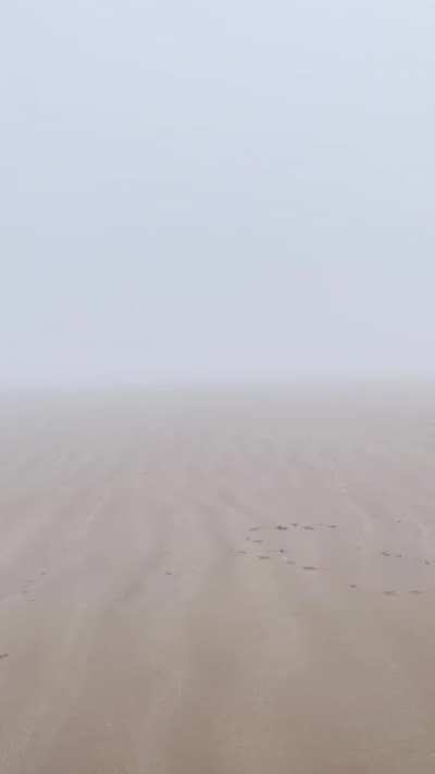 She’s smol, but she plays fetch harder than any dog I know. (Sound on)