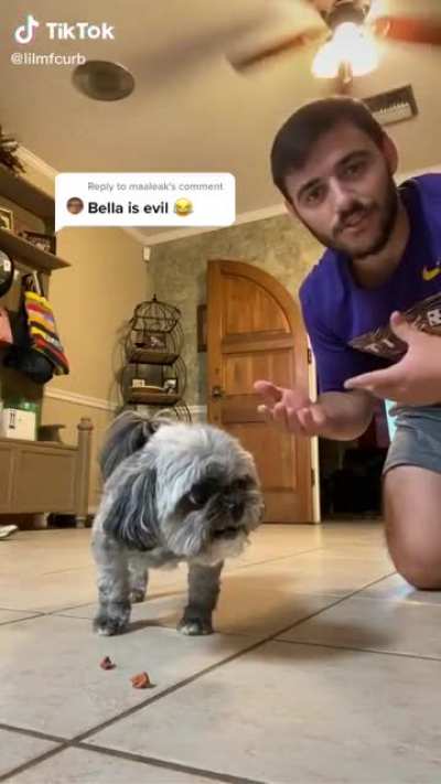 Is Bella evil?