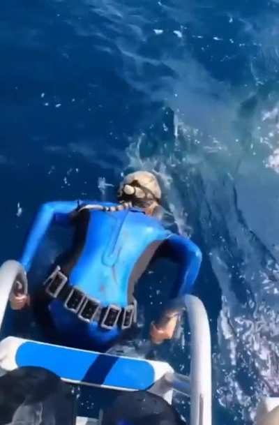 to dive underwater
