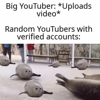 Our comment section