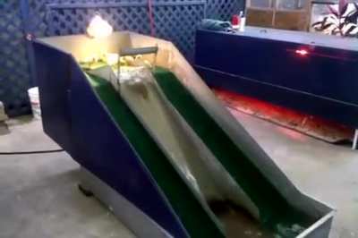 Ducklings enjoying the waterslide