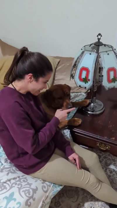 Nose Boop Switch
