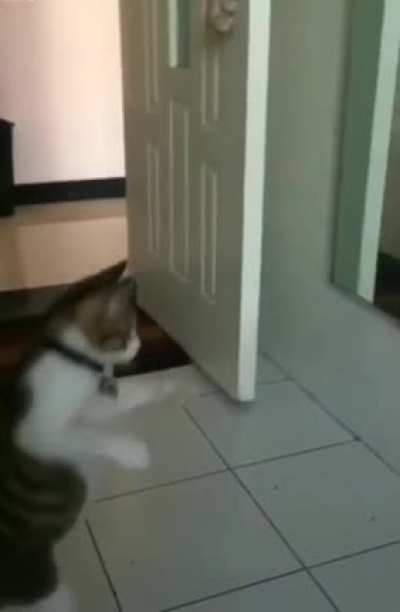 Shadow Boxing