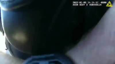 There’s a different angle of this video in this sub. They didn’t mention they just pulled the pilot as it was hit ?