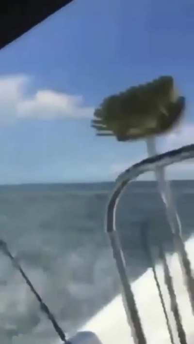 Girls trying to be dudes, but duding from the wrong part of the boat ?