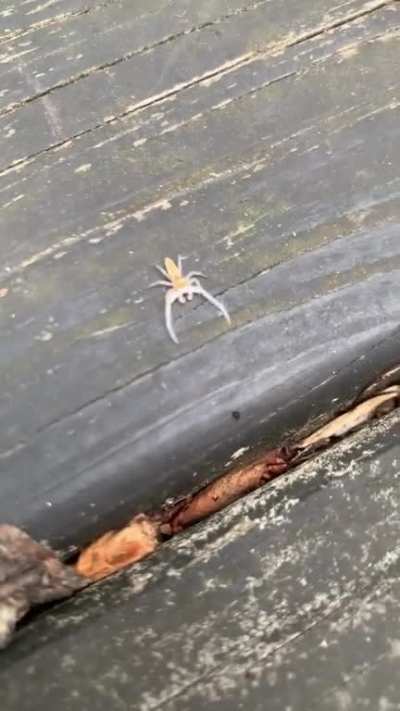 Maybe Maybe Maybe