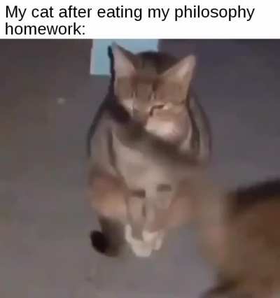 What's the point of it all? Everything's meaningless