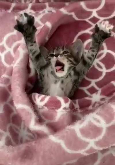 Criminal caught in hiding, immediately surrenders!