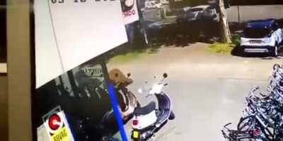 What a twat biscuit