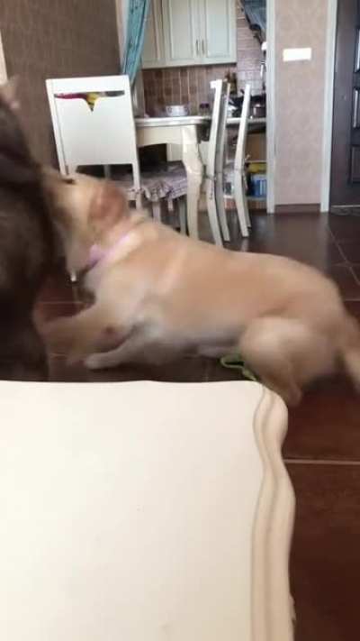 Finish him!