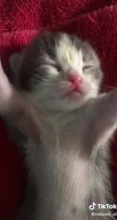???