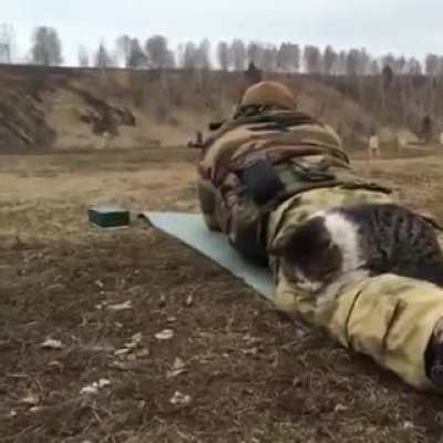 This kitty won't leave his owner