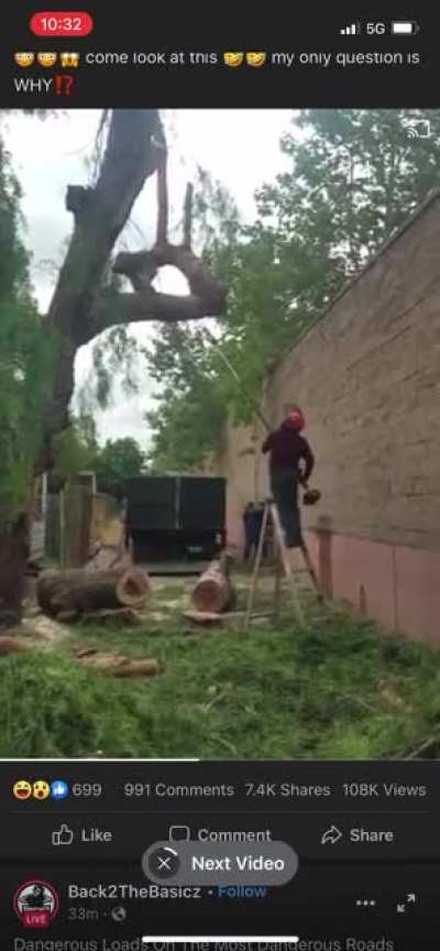 WCGW chopping this tree down with a pole saw. (Cropped in my library but went full sized when uploaded sorry about that)