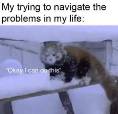 Too damn difficult