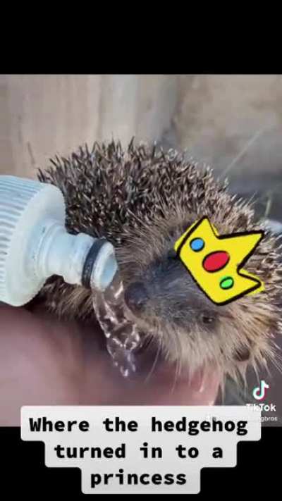 It had to be done - sorry [OC]