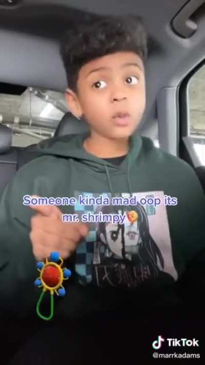 This dudes TikToks make me wanna go commit die