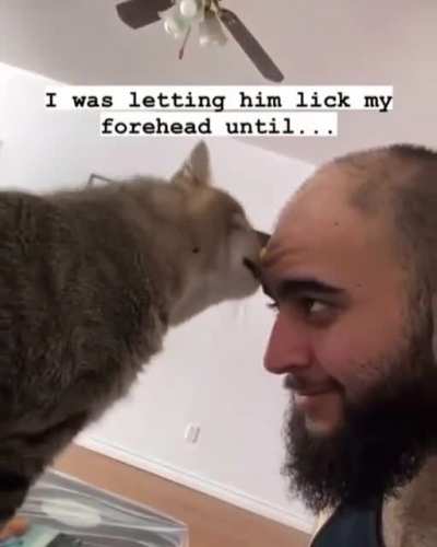 Why'd you slap!?