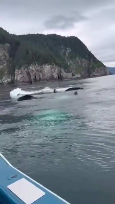 What would you do if you were in this situation ?