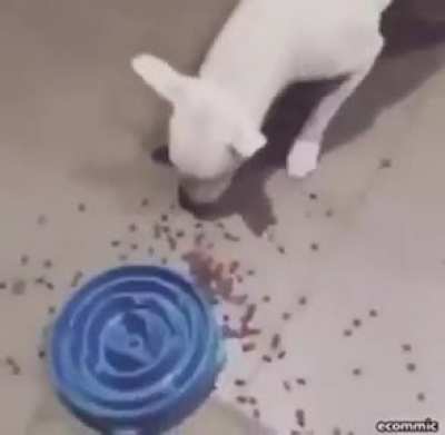 Slow Eating