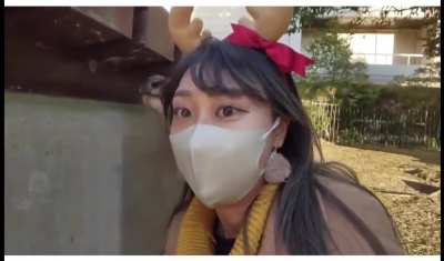picaboo human