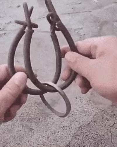 Lord Of The Ring...