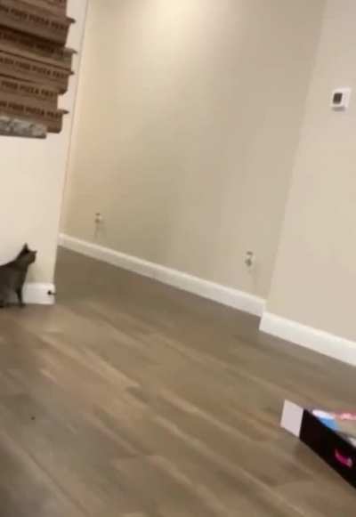 SURPRISE!!!