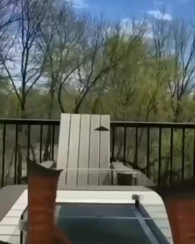 Oh lawd