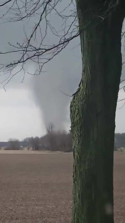? Incredible footage of two tornados joining to become a bigger one in Ohio