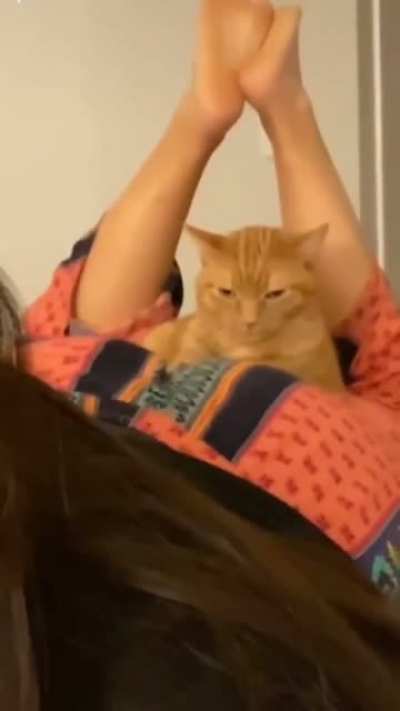 Kitty is not amused
