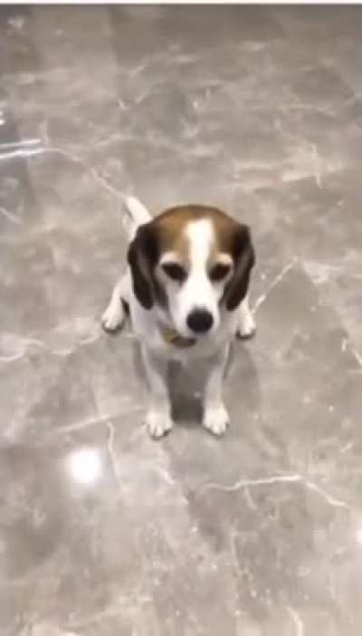 *bonk* :D