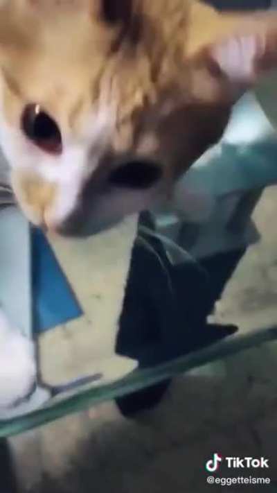? ?!