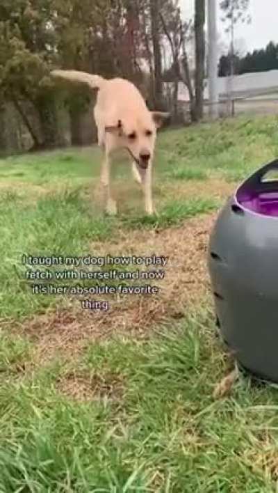 That little happy hop dance ??
