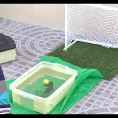 Fish plays football... THE AWARD FOR BEST SOCCER PLAYER OF THE WORLD GOES TO...