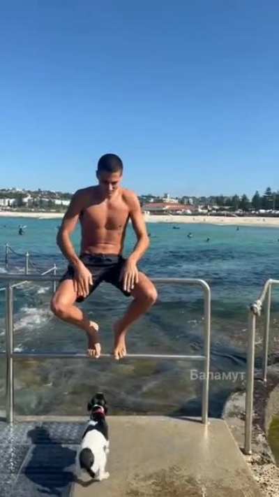 nice jump mate