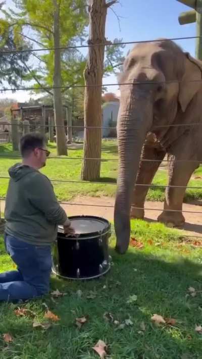 Elephants are highly intelligent animals. They are known for their problem-solving abilities, social intelligence, memory, and ability to learn and communicate. ?