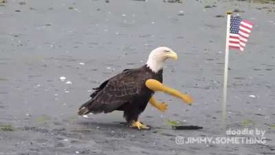 Happy 4th everyone.