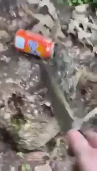 Cake or soda