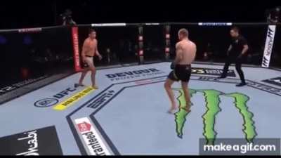 When you order Jorge Masvidal on Wish
