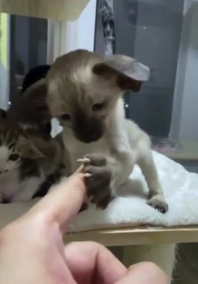 sound on?