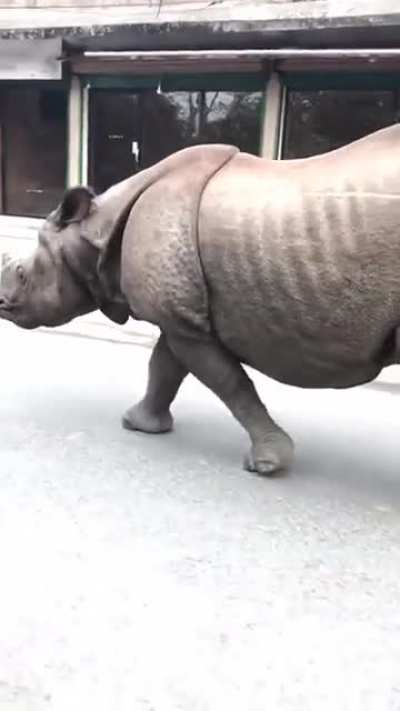 ? Normal day in Nepal.